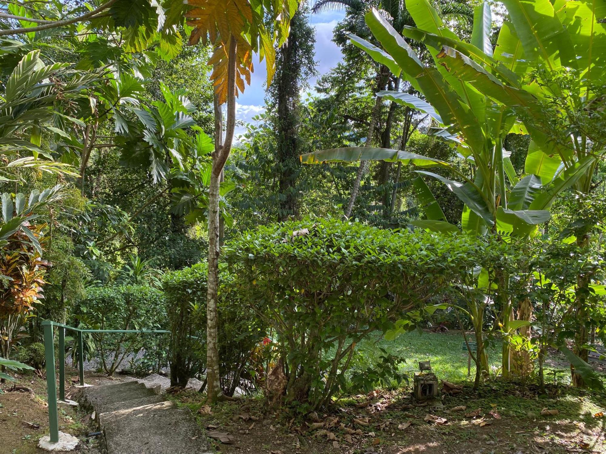 Colina Secreta - Glamping And Villas Puerto Viejo de Talamanca Exterior photo